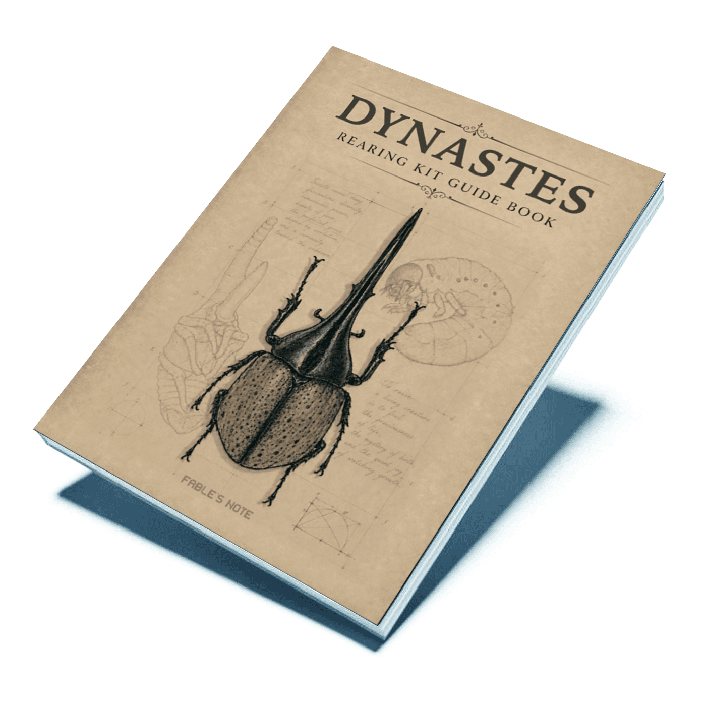 DYNASTES 飼育キットガイドブック